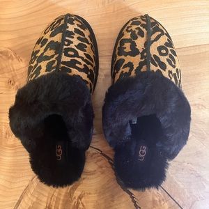 Ugg scuffette slippers